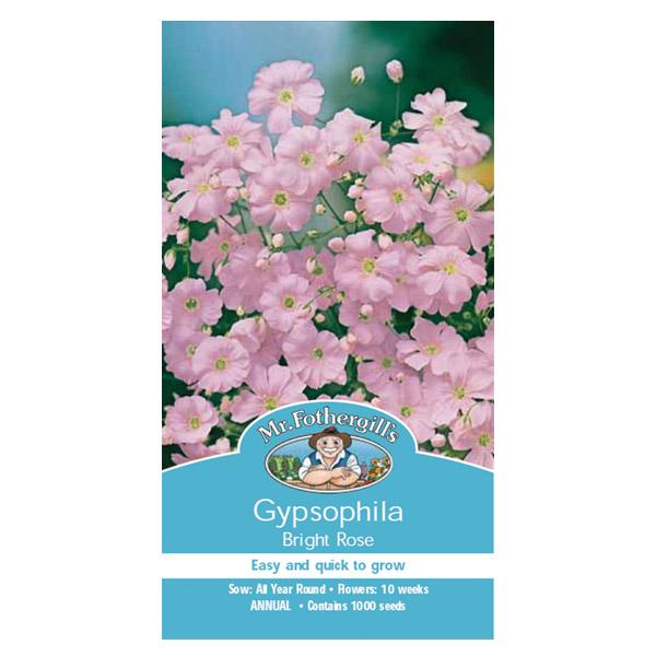 Gypsophila Bright Rose Seed