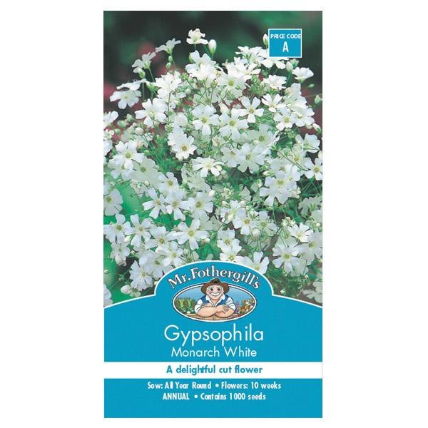 Gypsophila Monarch White Seed