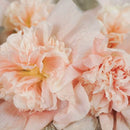 Hollyhock Pink Powderpuff