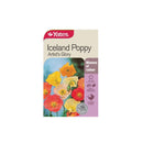 Iceland Poppy Artist's Glory