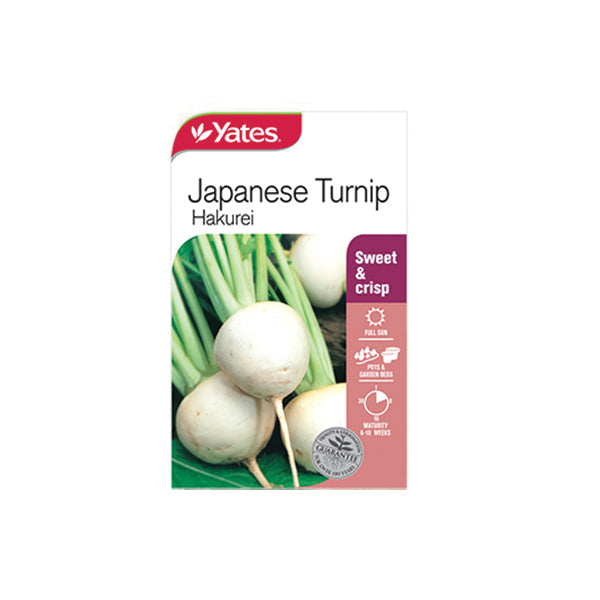 Japanese Turnip Hakurei