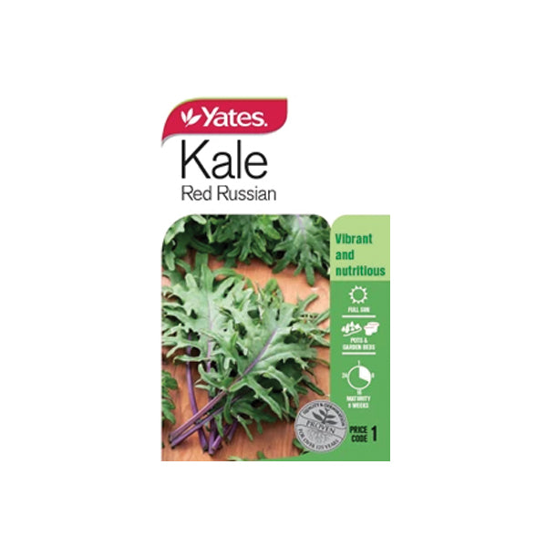 Kale Red Russian