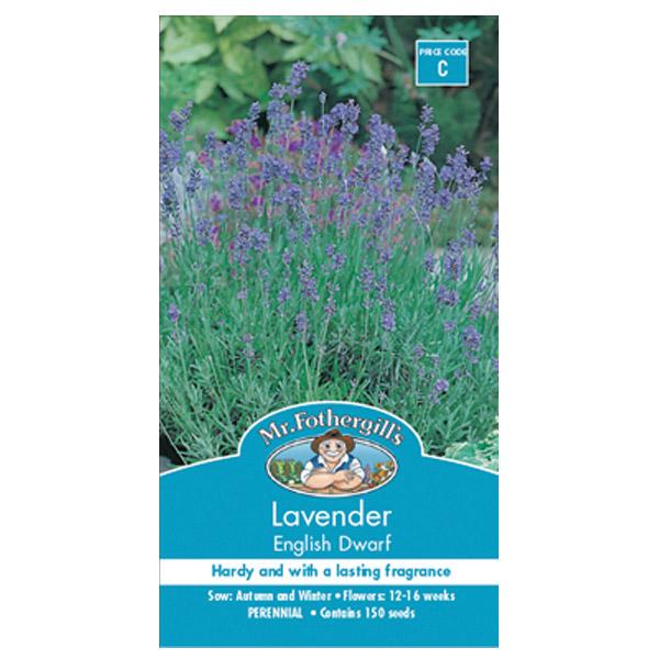 Lavender English Dwarf Seed