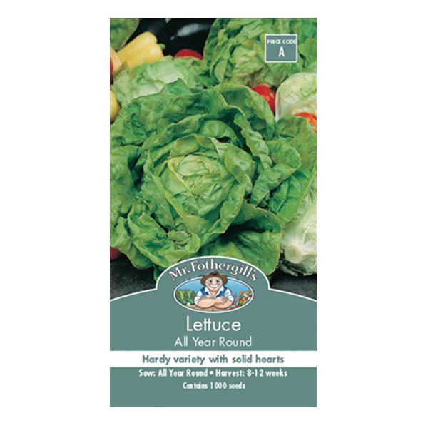 Lettuce All Year Round Seed