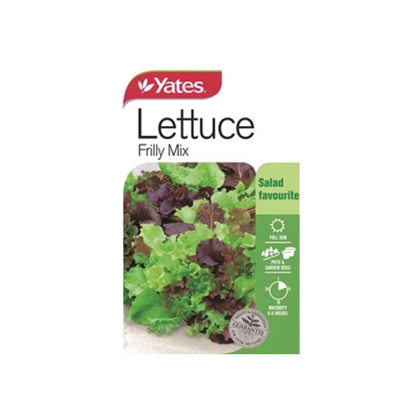 Lettuce Frilly Mix