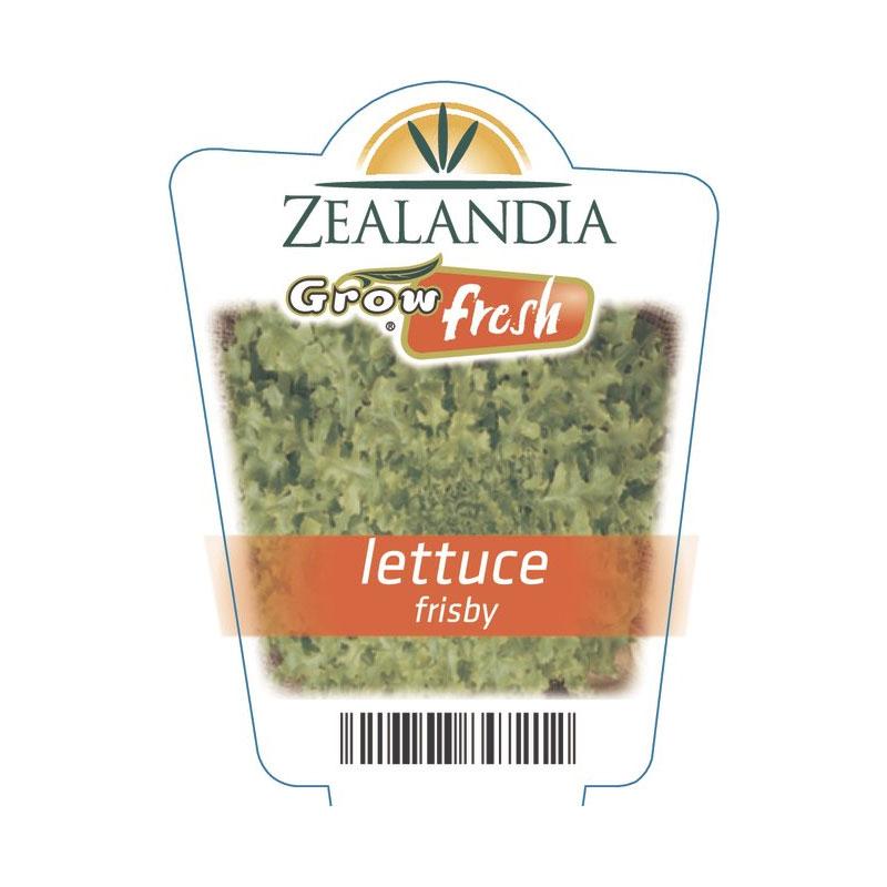 Lettuce Frisby Vegetable Punnet