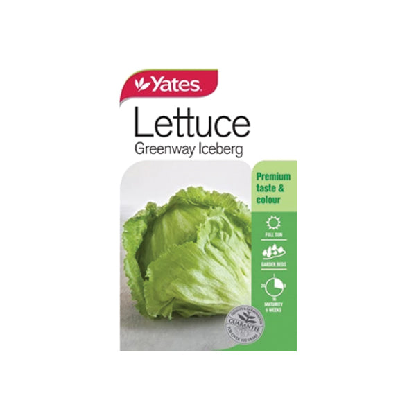Lettuce Greenway Iceberg