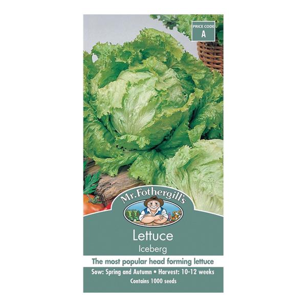 Lettuce Iceberg Seed