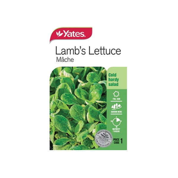 Lamb's Lettuce Mache