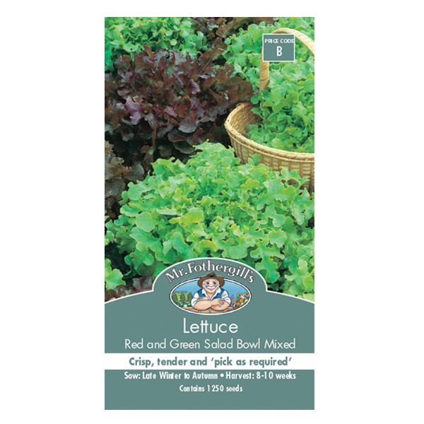 Lettuce Red and Green Salad Bowl Mixed Seed