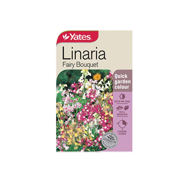 Linaria Fairy Bouquet