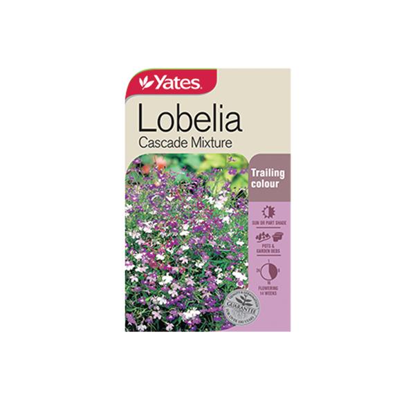 Lobelia Cascade Mixture