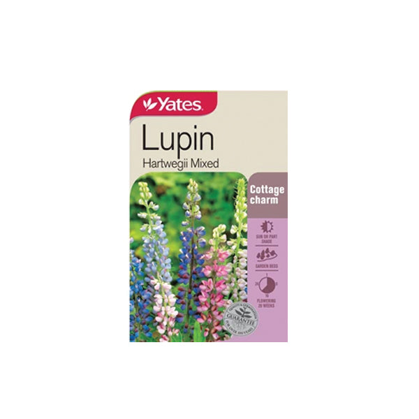 Lupin Hartwegeii Mixed