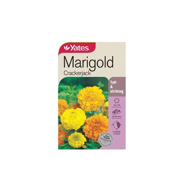 Marigold Crackerjack