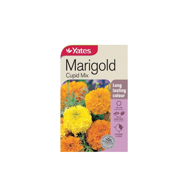 Marigold Cupid Mix