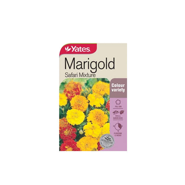 Marigold Safari Mixture