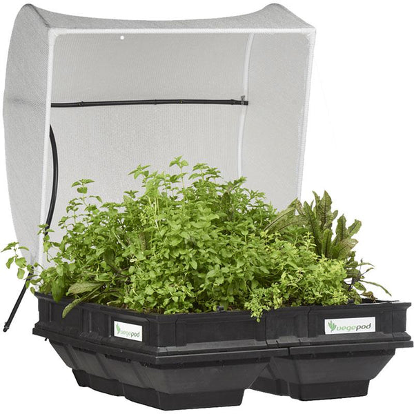 vegepod potting mix Vegepod