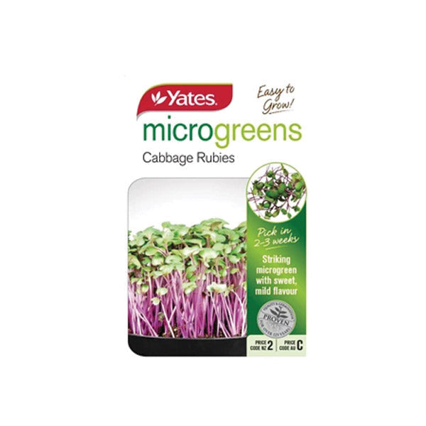 Yates Microgreens Cabbage Rubies