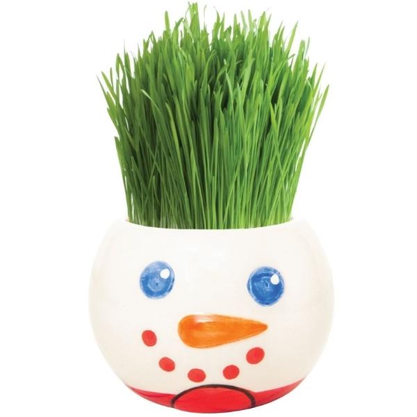 Mr Fothergills Grass Hair Kit - Christmas