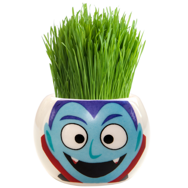 Mr Fothergills Grass Hair Kit Dracula