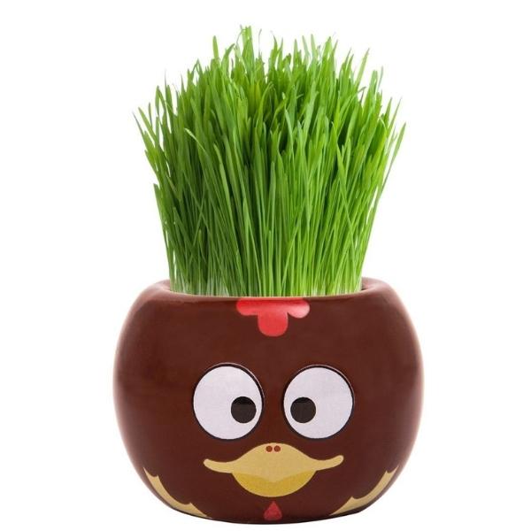 Mr Fothergills Grass Hair Kit Farm Animal Chicken