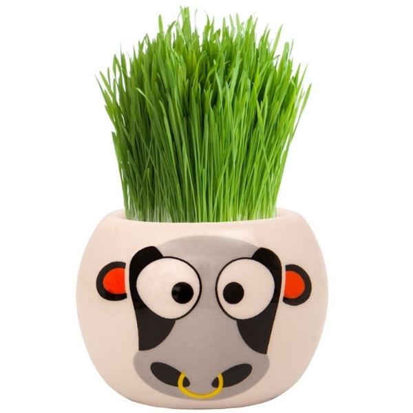 Mr Fothergills Grass Hair Kit Farm Animal Cow