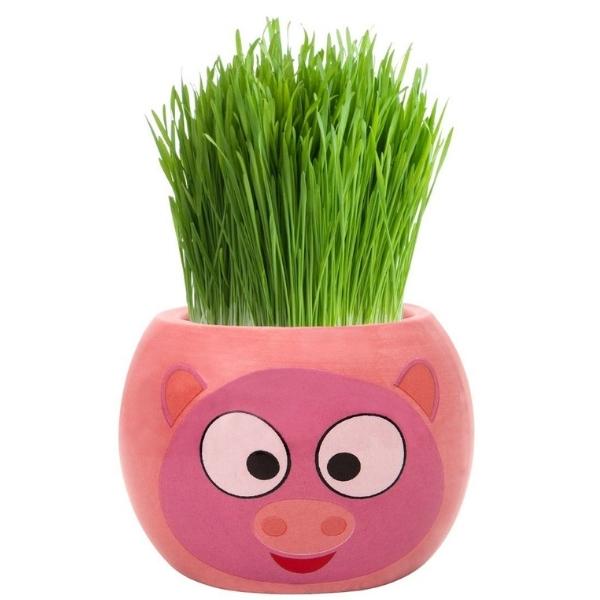 Mr Fothergills Grass Hair Kit Farm Animal Pig
