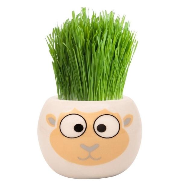 Mr Fothergills Grass Hair Kit Farm Animal Sheep