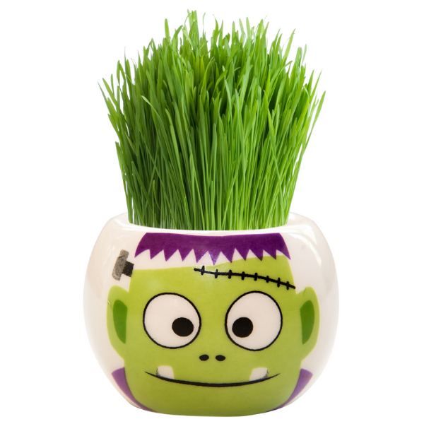 Mr Fothergills Grass Hair Kit Frankenstein