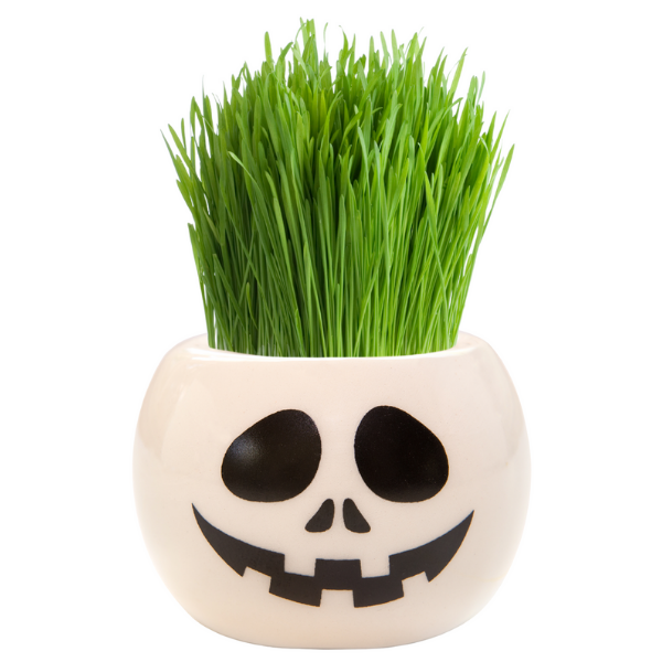 Mr Fothergills Grass Hair Kit Skull