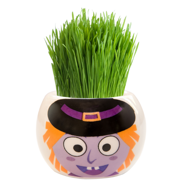 Mr Fothergills Grass Hair Kit Witch