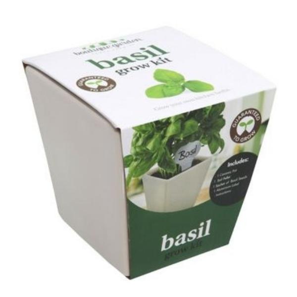 Mr Fothergills Grow Kit Basil With Ceramic Pot