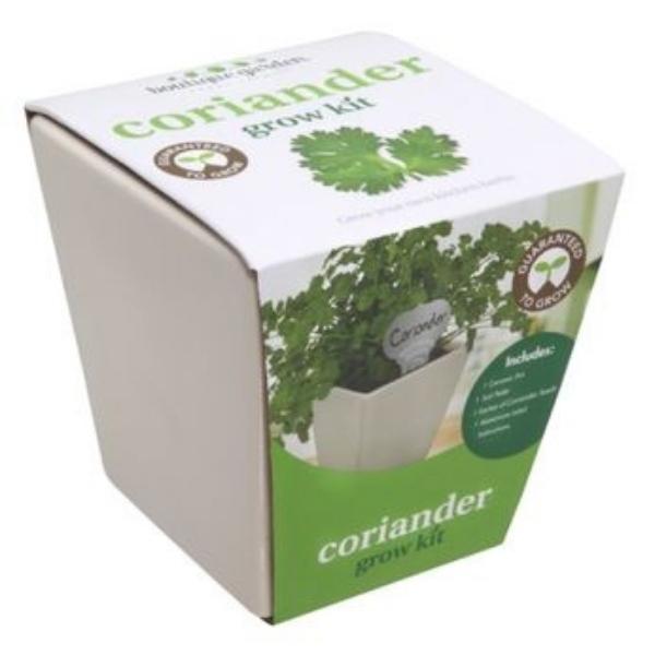 Mr Fothergills Grow Kit Coriander With Ceramic Pot