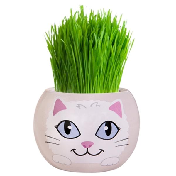 Mr Fothergills Grow Kit Kitten Grass Hair - Snowflake