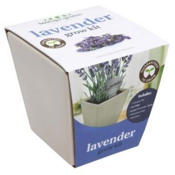 Mr Fothergills Lavender Grow Kit with Ceramic Pot