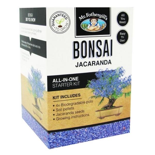 Mr Fothergills Bonsai Jacaranda Grow Kit