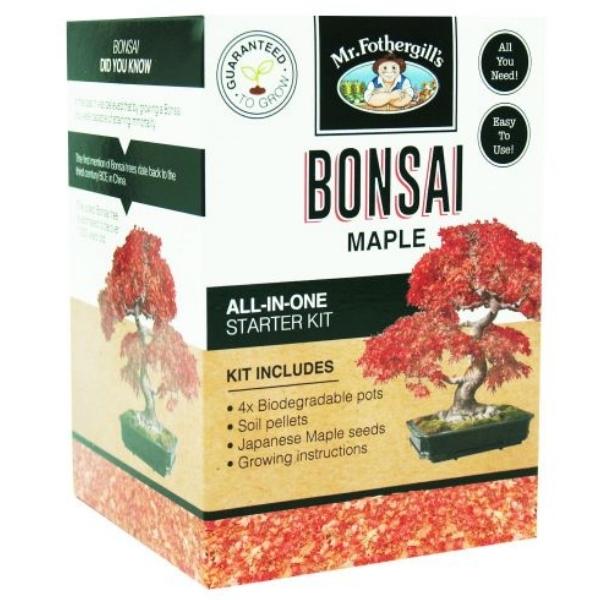 Mr Fothergills Bonsai Maple Grow Kit