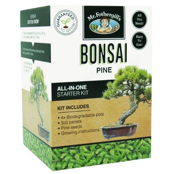 Mr Fothergills Bonsai Pine Grow Kit