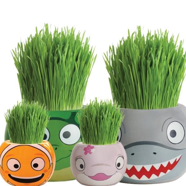 Mr Fothergills Grow Kit Ocean Animals