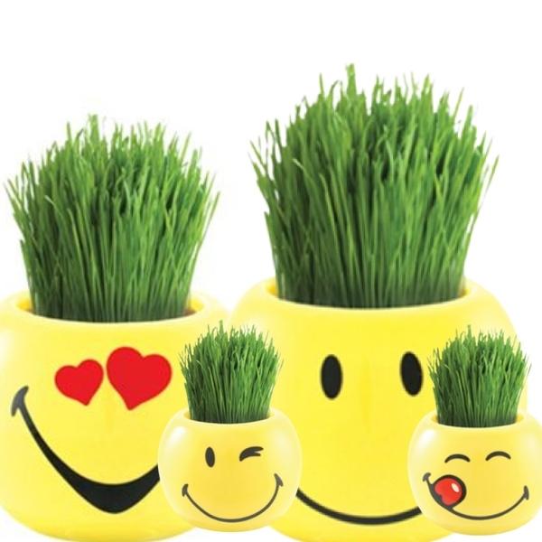 Mr Fothergills Grow Kit Smiley World