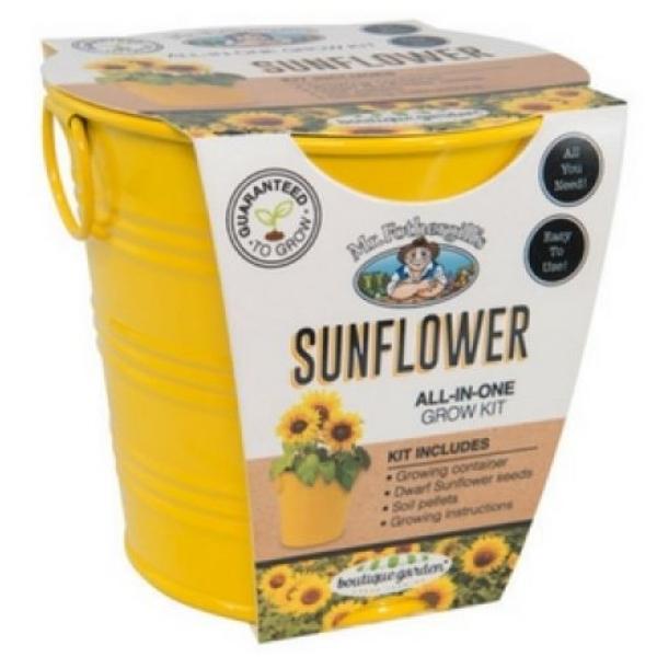 Mr Fothergills Sunflower Grow Kit