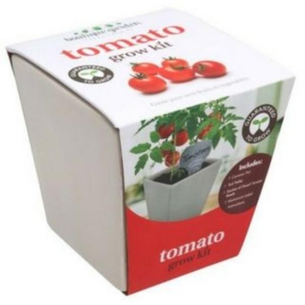 Mr Fothergills Tomato Grow Kit with Ceramic Pot