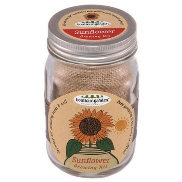 Mr Fothergills Mason Jar Sunflower Kit