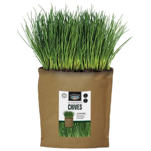 Mr Fothergills Grow Pouch Chives