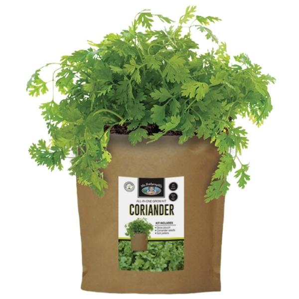 Mr Fothergills Grow Pouch Coriander