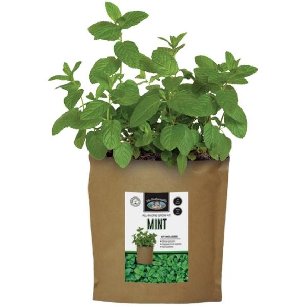 Mr Fothergills Grow Pouch Mint