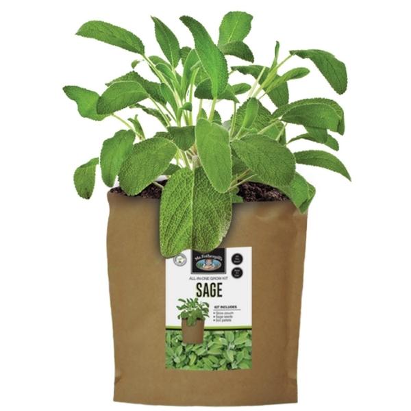 Mr Fothergills Grow Pouch Sage