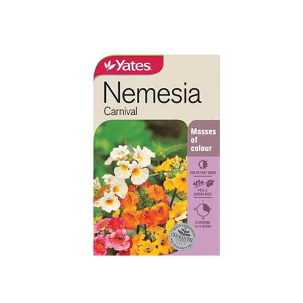 Nemesia Carnival