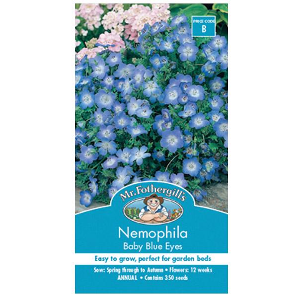 Nemophila Baby Blue Eyes Seed