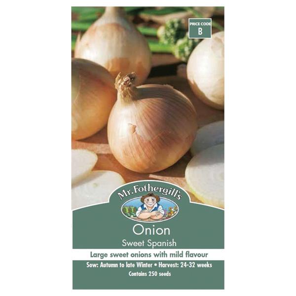 Onion Sweet Spanish Seed